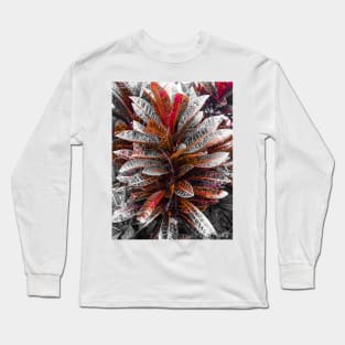 Carmine Crotons Long Sleeve T-Shirt